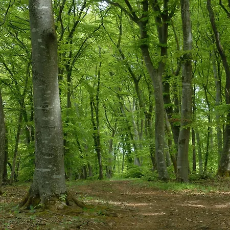 Hamburg Nord 酒店 *